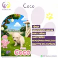 Coco