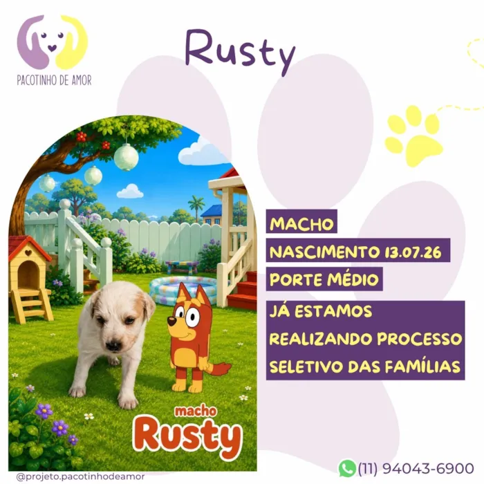 Cachorro raça SRD-ViraLata idade Abaixo de 2 meses nome Rusty