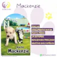 Mackenzie