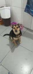 Kiara 