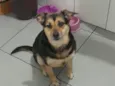 Kiara 