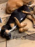 Sem nome
