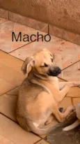 Sem nome