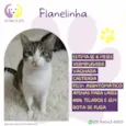 Flanelinha