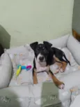 Khira 