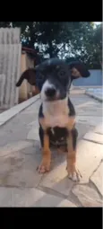 Khira 