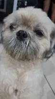 Fred