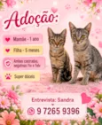 Carla e Antonieta 