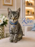 Rico