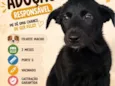 Zeca