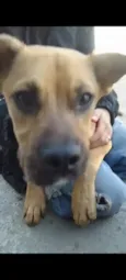 sammy