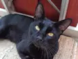 Bruce