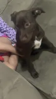 Kiara