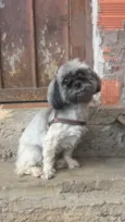 Kiara