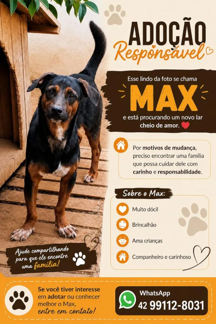 Cachorro raça SRD-ViraLata idade 1 ano nome Max