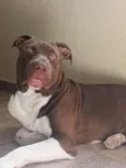 Ragnar