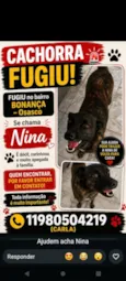 Nina