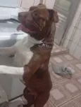 Ragnar