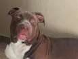Ragnar