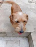Kiara