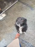 Marley