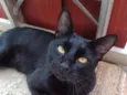 Bruce