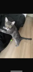 Aurora, Mari e Fumacinha