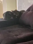 Aurora, Mari e Fumacinha