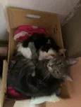 Aurora, Mari e Fumacinha