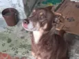 Billy
