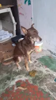 Billy