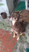 Billy