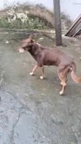 Billy