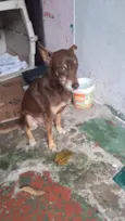 Billy 