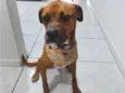 Zeus