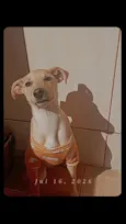 Princesa