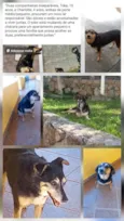 Toka e Charlote