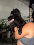 Vini Jr