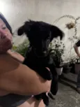 Vini Jr