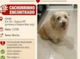 Não sei o nome (procurando o tutor)