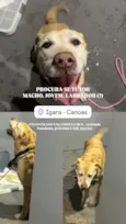 Não sei
