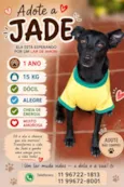 Jade