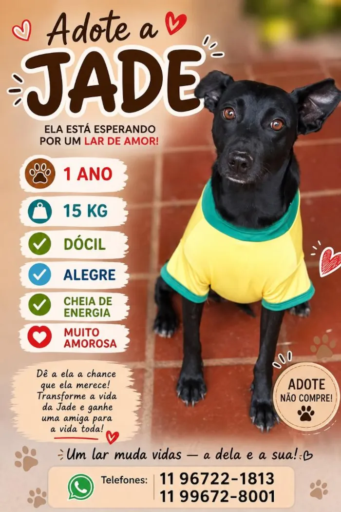 Cachorro raça SRD-ViraLata idade 1 ano nome Jade