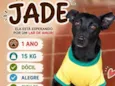 Jade
