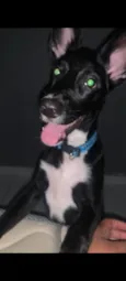 baruch