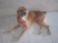 Bob