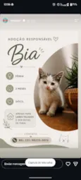 Bia