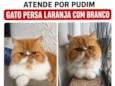 Pudim