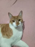 Francisco