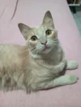 Joaquim
